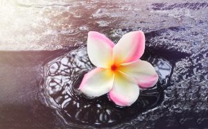 Let me introduce you to Ho’oponopono, an ancient Hawaiian practice that helps you center and find harmony, as you first learn to practice self forgiveness.