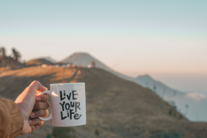 Is your approach to life allowing you to live life to the fullest? This exercise helps you move awareness out of your head and into your body so you can sense the answer: