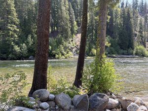 Nature retreats help you connect with… um, nature.