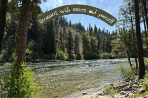 Many women physically arrive at a vacation or retreat long before their nervous system does. When you plan your next getaway, arrive fully through this somatic practice.