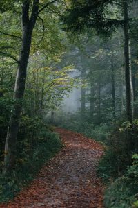 Keep in mind these five things when you create your own path in life, so it leads you to the destination that brings you satisfaction and joy.