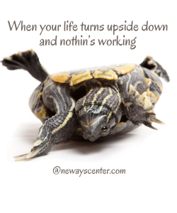 Your old ways of moving through the world (established practice patterns, professional identity, or sense of control) may suddenly be inadequate, leaving you feeling helpless and exposed.