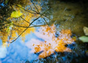 The key to strategic living is not adding more but choosing with clarity.