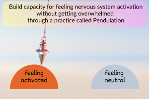 When your nervous system feels activated, work with your body and build capacity for feeling it without getting overwhelmed by it through a practice called Pendulation.