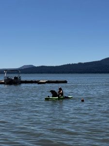 Balancing on the lake tests your presence of mind and body