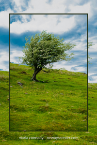 There’s a significant difference between being rooted in your history and being defined by it.