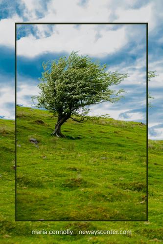 There’s a significant difference between being rooted in your history and being defined by it.