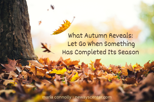 In nature, letting go is not the same as losing something. A fallen leaf doesn’t disappear. It breaks down and returns to the soil. 