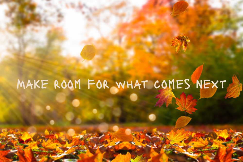 Here’s a somatic practice to help you know when to let go. It’s called Making Room